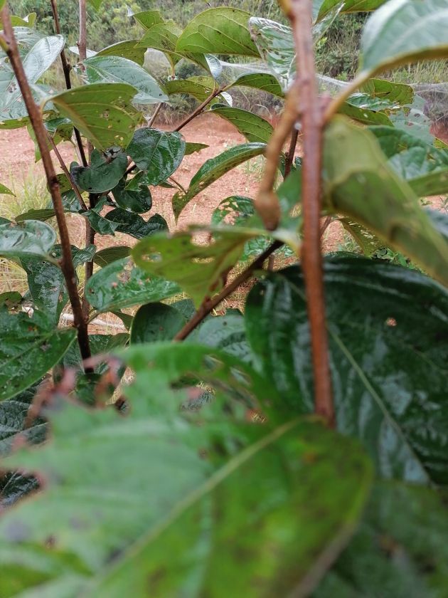 ӳ1.jpg