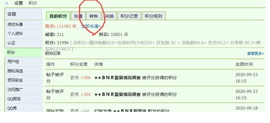 无标题.jpg