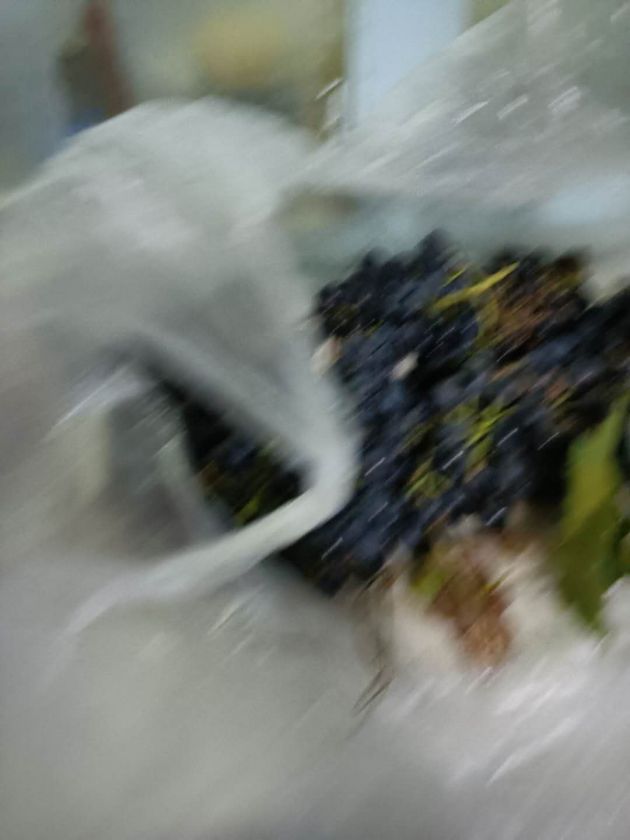 ΢ͼƬ_20201008211004.jpg
