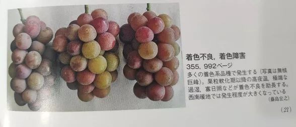 76.webp.jpg