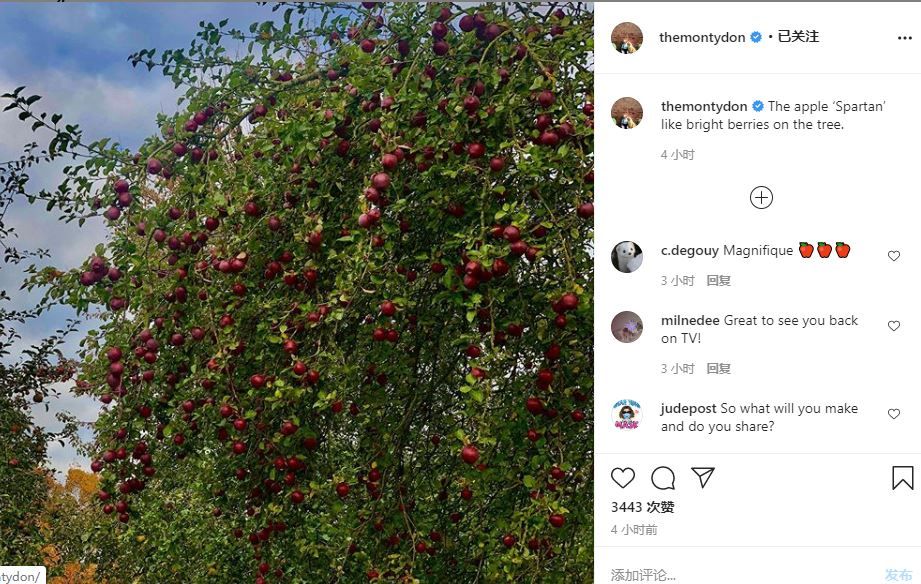 apple.JPG