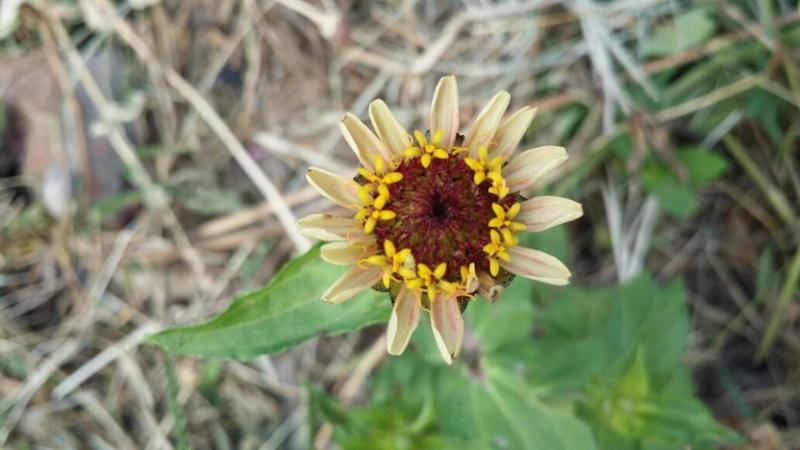 20201009_143807_resized.jpg