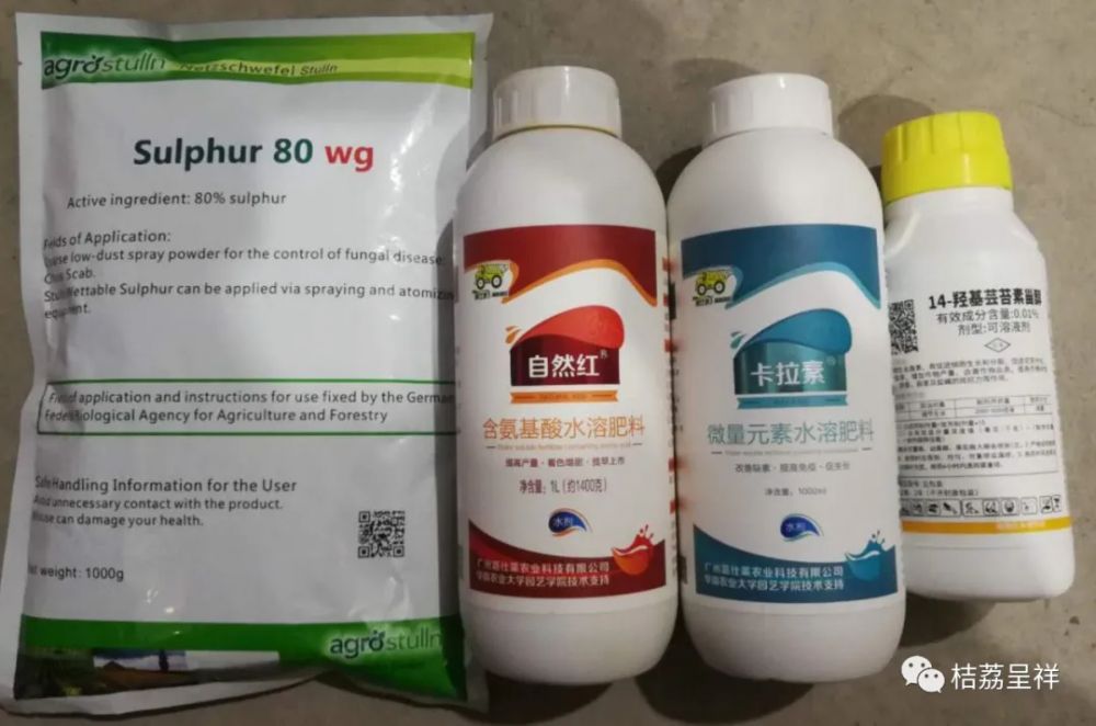 64.webp.jpg