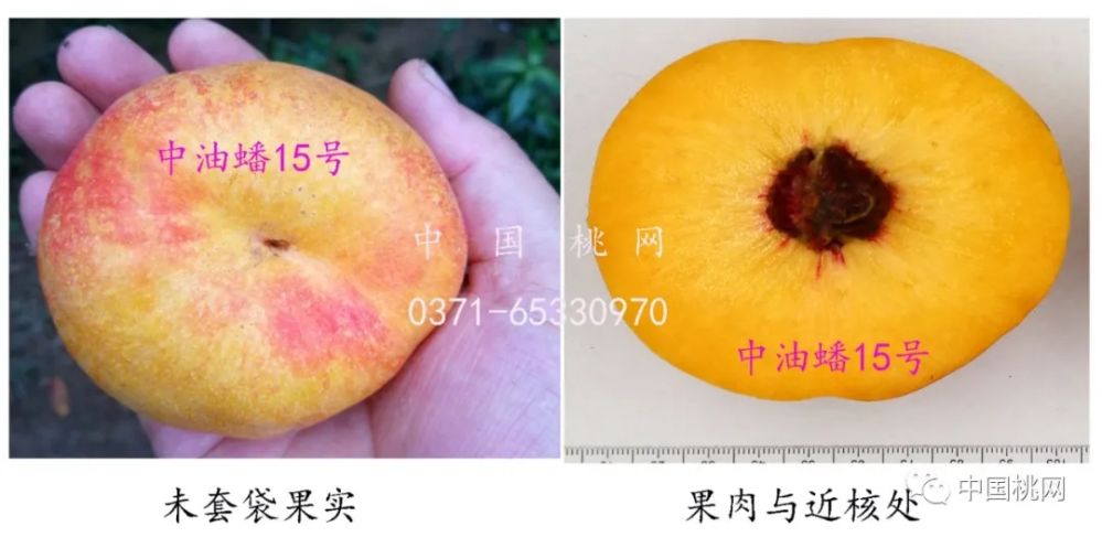 71.webp.jpg