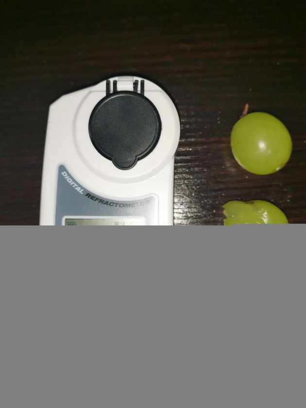 IMG_20201023_194000.jpg