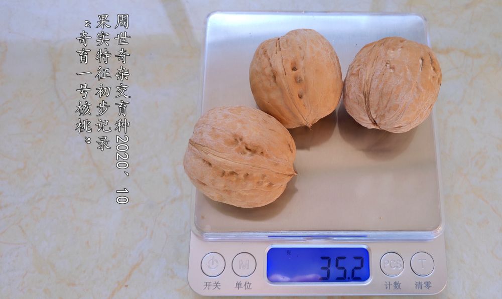 һźҹʵ19.jpg