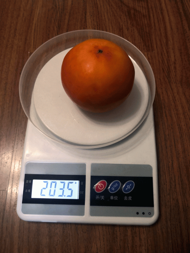IMG_20201101_175909.gif