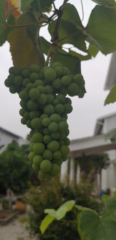 ΢��ͼƬ_20201102091616.jpg