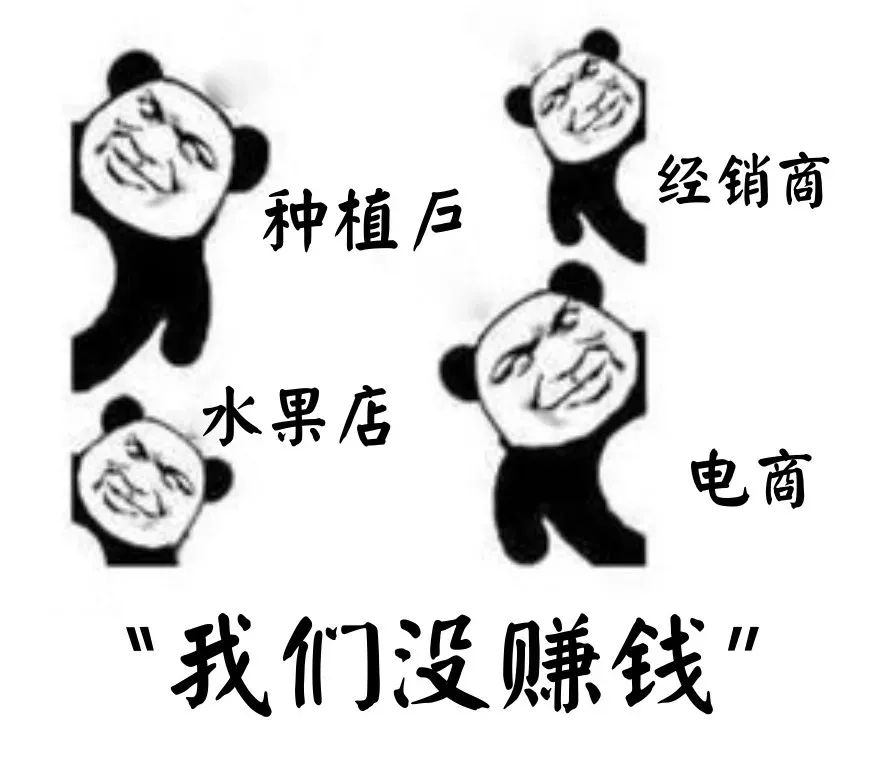 65.webp (2).jpg