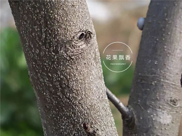 67.webp.jpg