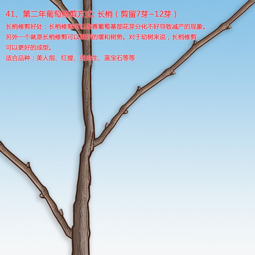 41ѵڶ޼ʽ1.jpg