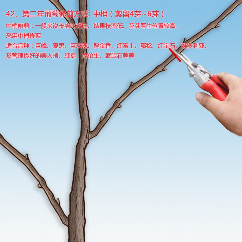 42ѵڶ޼ʽ1.jpg
