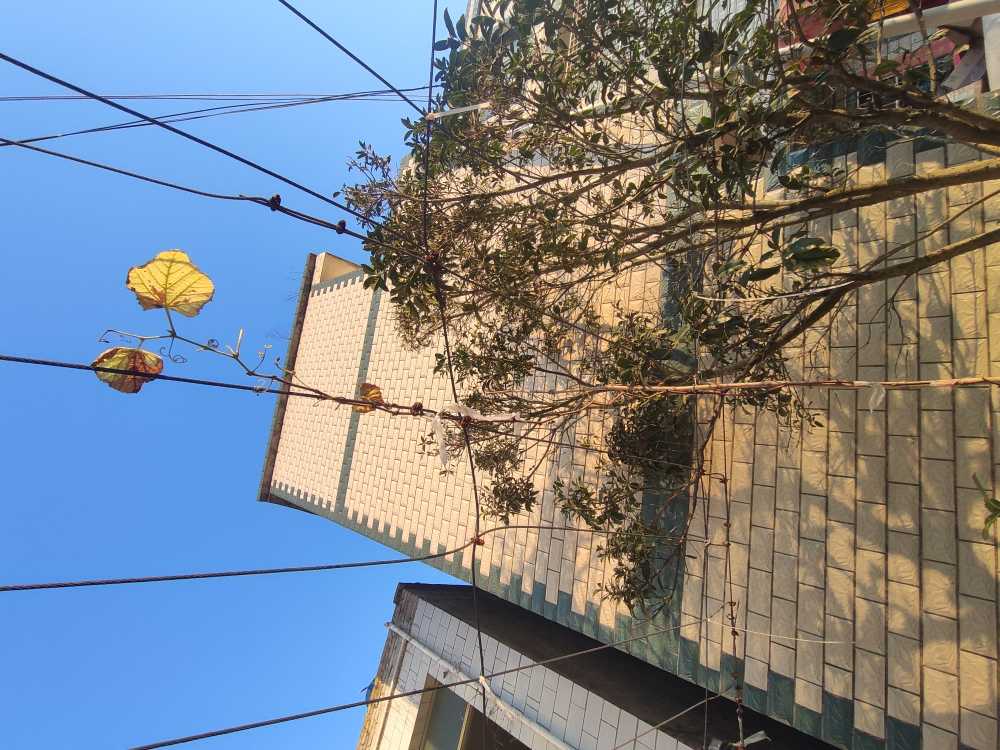 IMG_20201117_172707.jpg