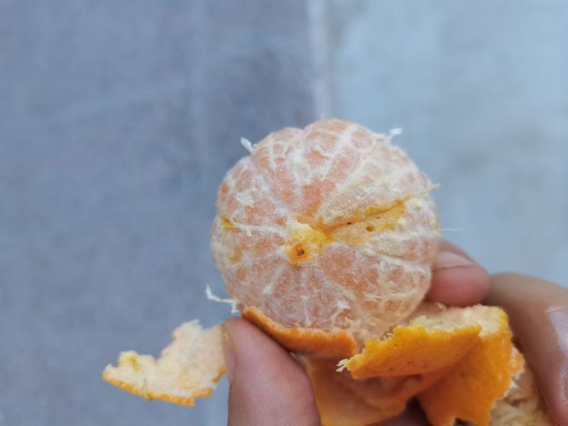 ����������ǳ��أ� ���ǲ����أ���С�˺���������Ϊ�ѣ�