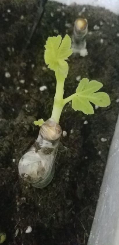 ΢ͼƬ_20201203210901.jpg