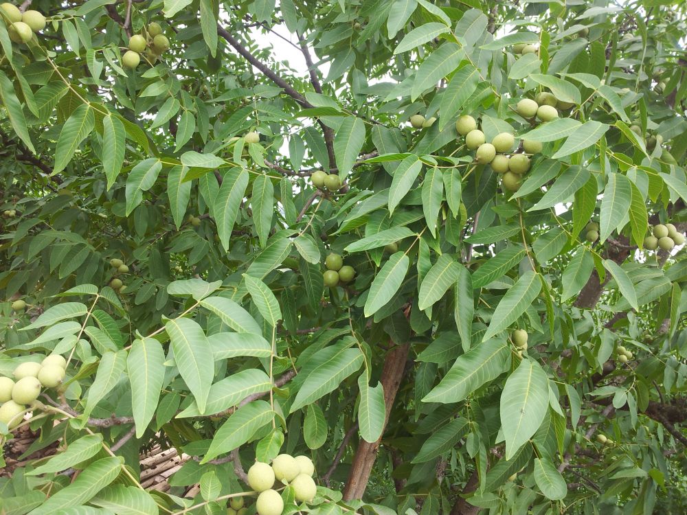 20140605_143740.jpg