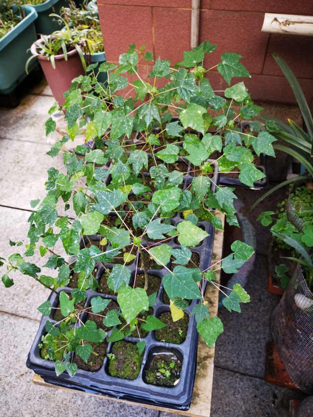 ΢ͼƬ_20201224171028.jpg