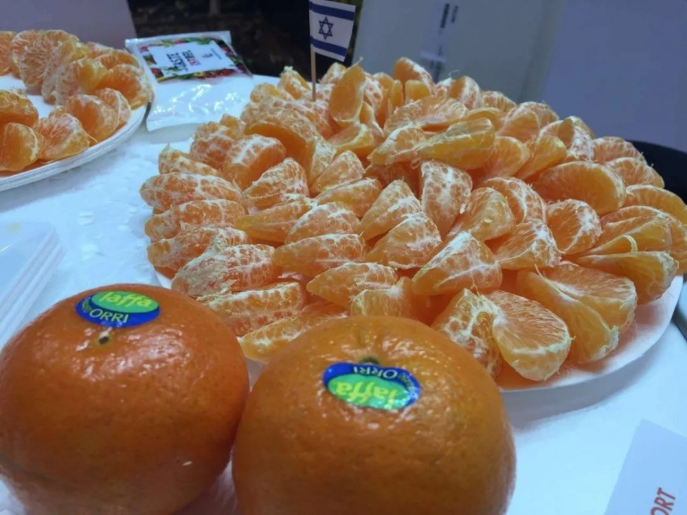 14.webp (1).jpg