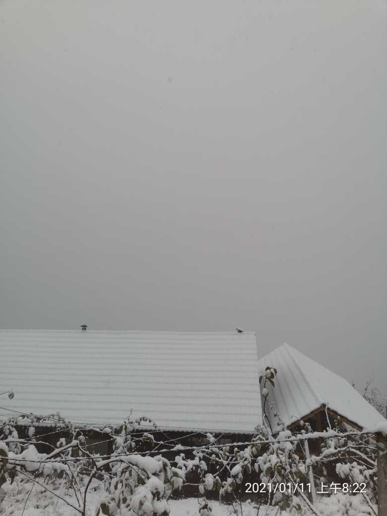 IMG_20210111_082244.jpg