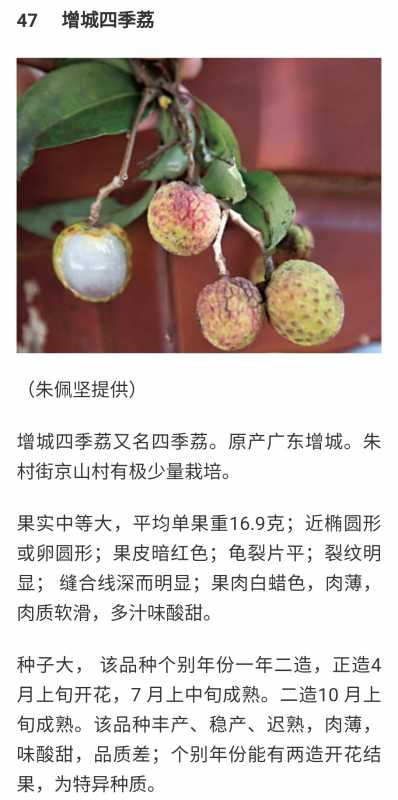 Screenshot_20210201_004441_com.baidu.searchbox_edit_360109992856507.jpg