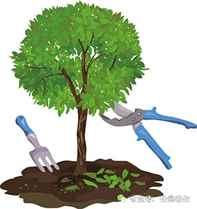 ޼֦.jpg