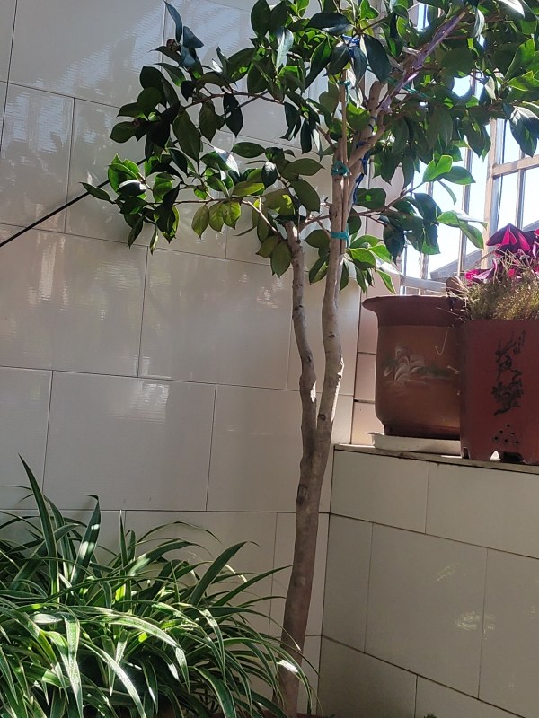 P10219-111109.jpg