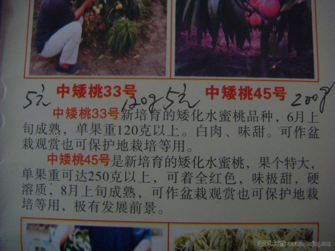 125825dzb895yyvv5yrttv.jpg