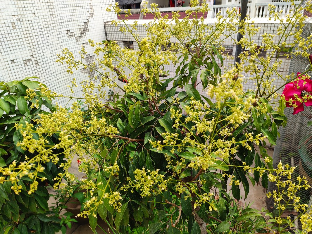 IMG_20210228_110922.jpg