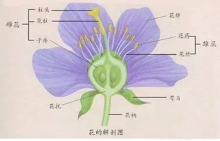 src=http___img.mp.itc.cn_upload_20170324_9b03bb88cdc6404caab064acc56ad79a_th.jpe.jpg