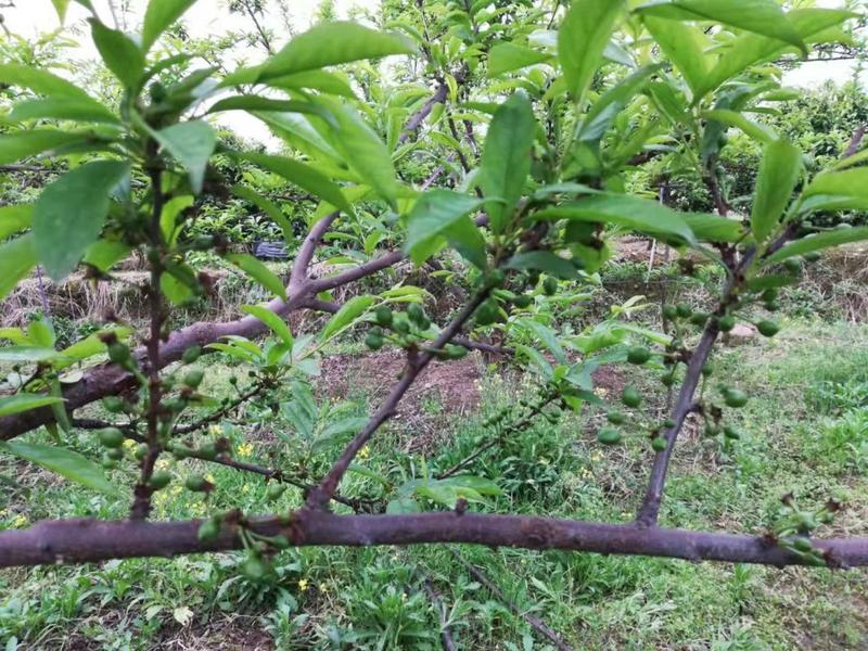 ΢��ͼƬ_20210318174732.jpg