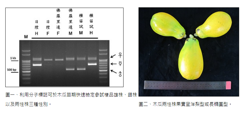 WeChat ؈D_20210403085855.png