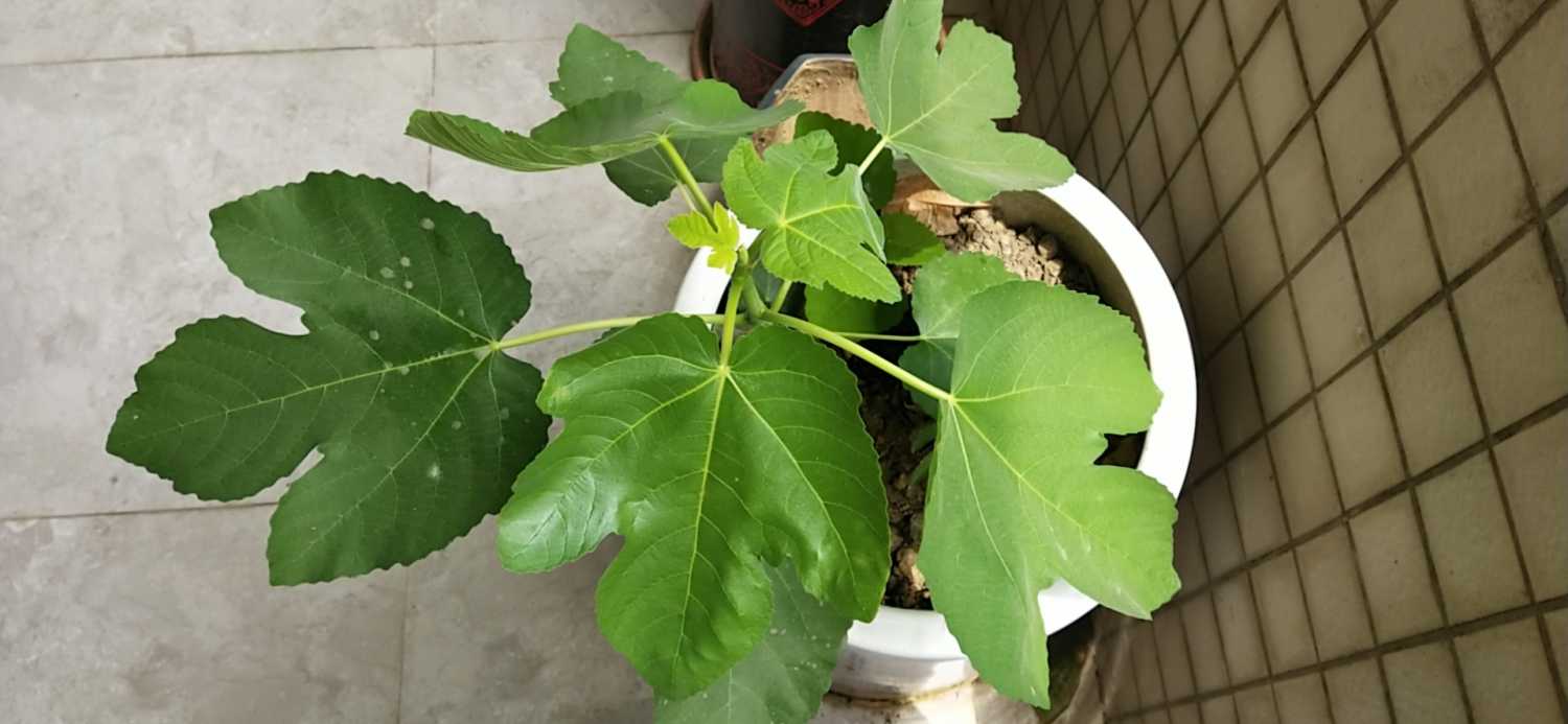 wx_camera_1617770543178.jpg