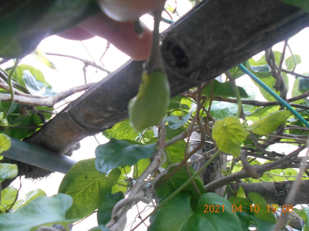DSCN1624.JPG