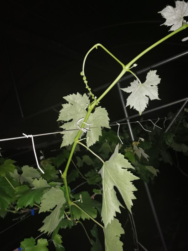 IMG_20210414_203048.jpg