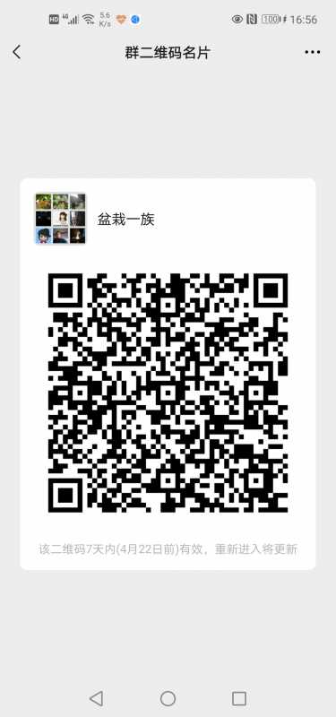 Screenshot_20210415_165644_com.tencent.mm.jpg