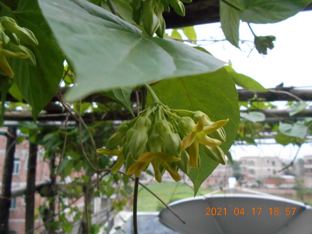 DSCN1631.JPG