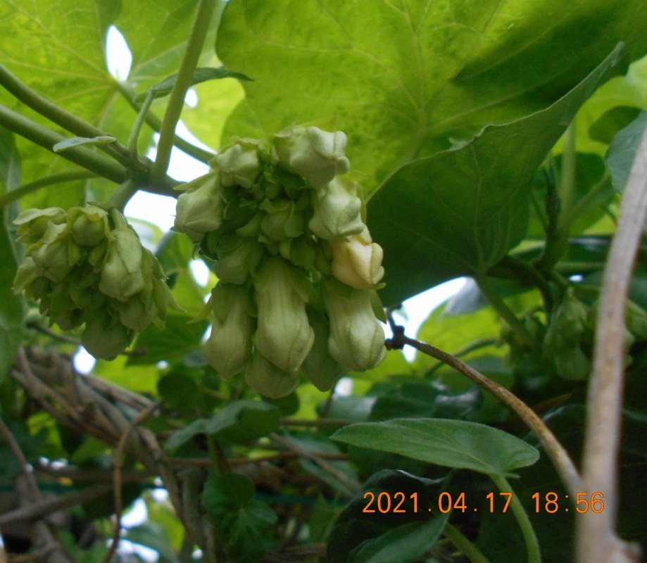 DSCN1630.JPG