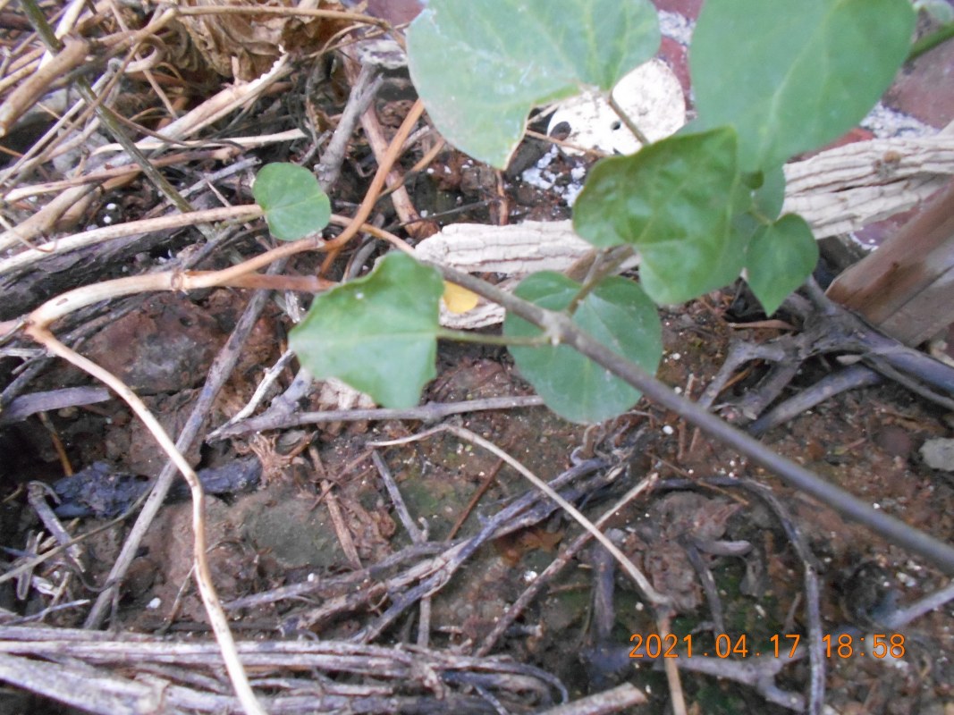 DSCN1632.JPG