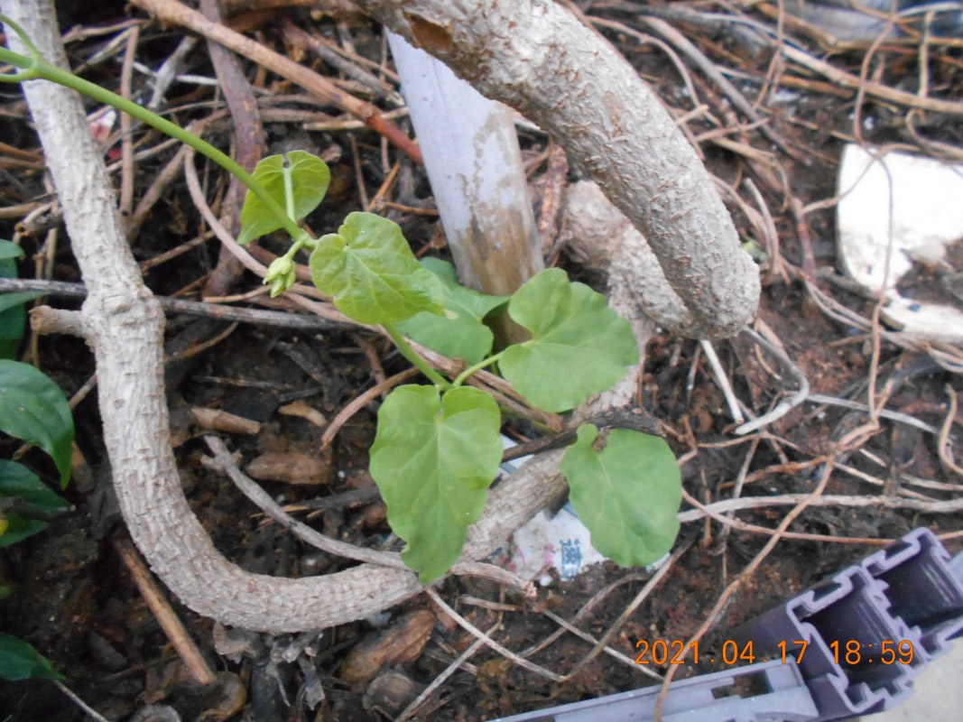 DSCN1633.JPG