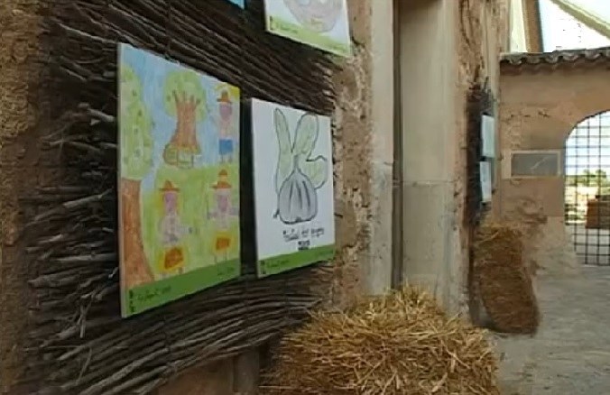 jilupian zhong de wuhuaguo.jpg