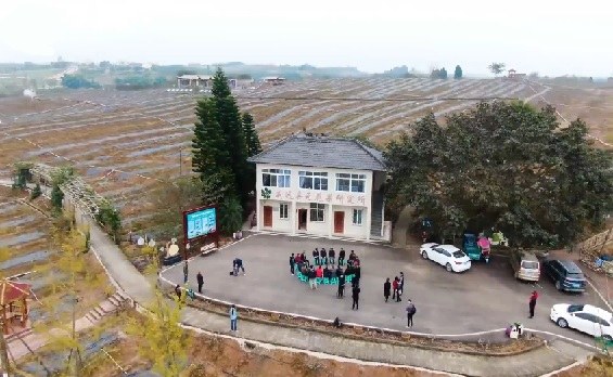 weiyuan wuhuaguo2 .jpg