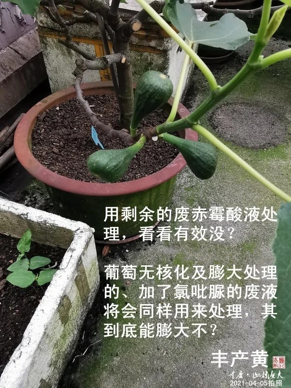 ΢ͼƬ_20210419113306.jpg
