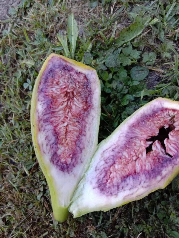 ΢ͼƬ_20210421203755.jpg