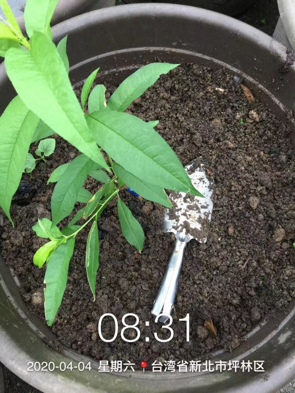 WeChat DƬ_20210424212303.jpg