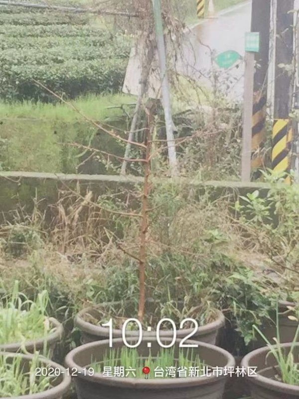 WeChat DƬ_20210424212326.jpg