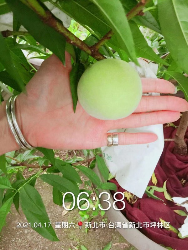 WeChat DƬ_20210424212349.jpg