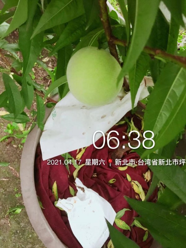 WeChat DƬ_20210424212341.jpg