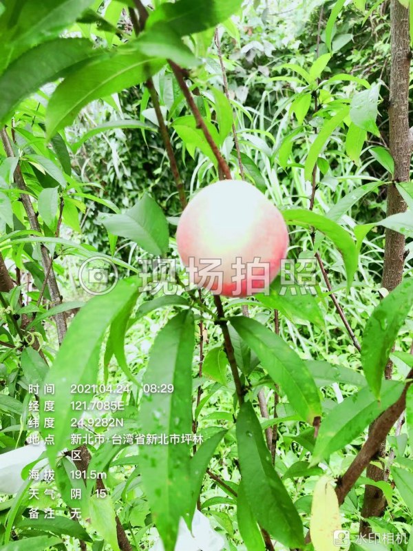 WeChat DƬ_20210424212423.jpg