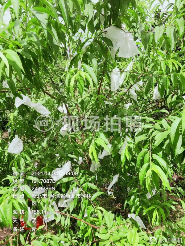 WeChat DƬ_20210424212400.jpg