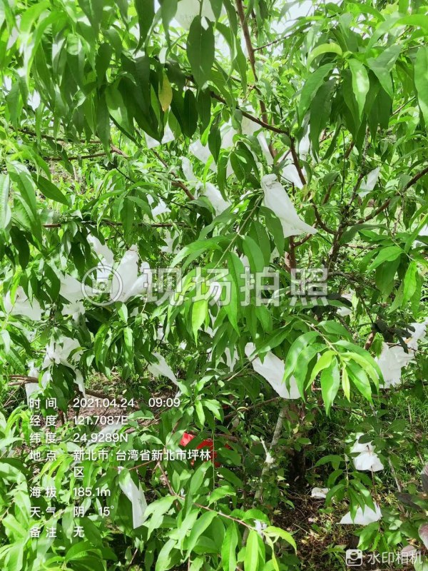 WeChat DƬ_20210424212355.jpg